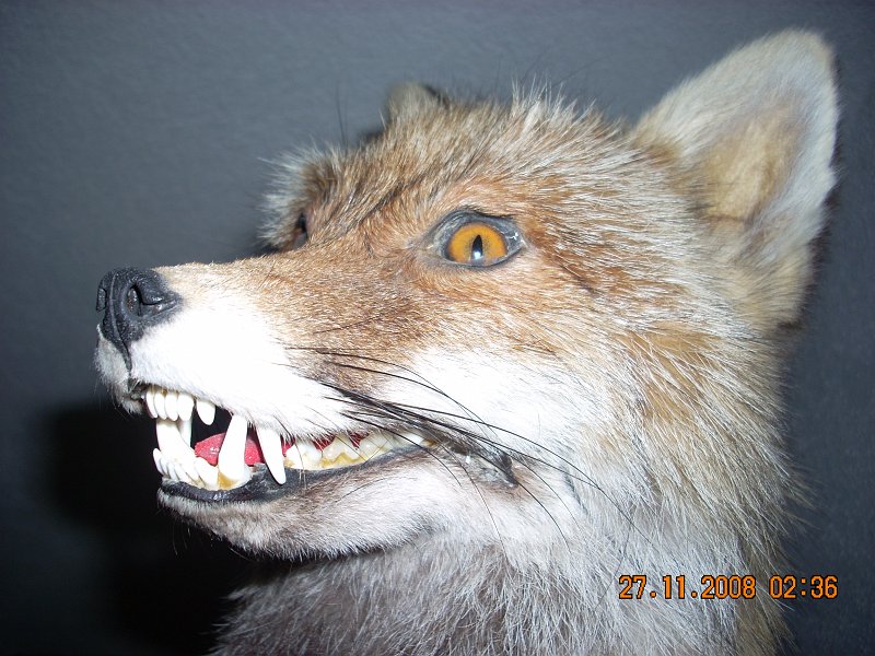 SOLDEN 2008 PROSINEC 098.jpg